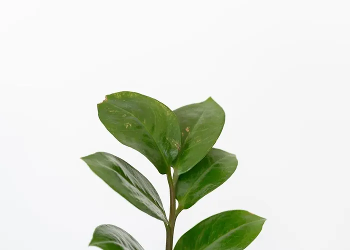 Kamara Sea View Superior * Камари