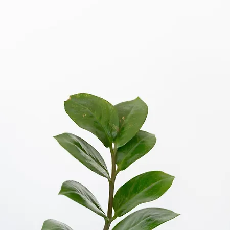 Kamara Sea View Superior * Kamari (Santorini)